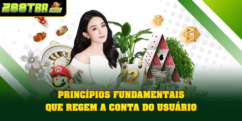 Princípios fundamentais que regem a conta do usuário